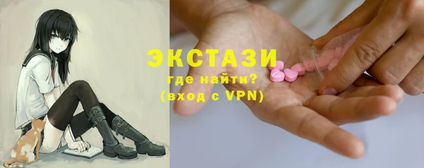 стафф Гусев