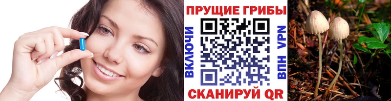 Галлюциногенные грибы Magic Shrooms  хочу наркоту  Зеленоградск 